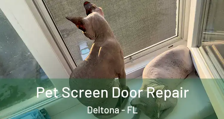 Pet Screen Door Repair Deltona - FL